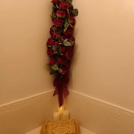Apartman Bellucci Cruz Santa Cruz de Tenerife